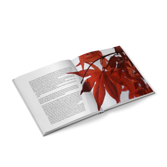 FIRE BOOK – Camino Encounters - Afbeelding 2