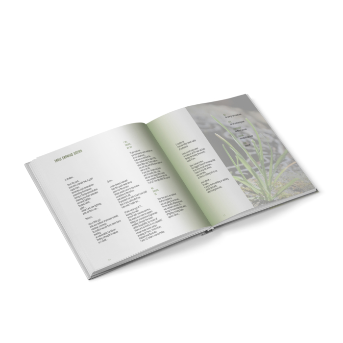 WOOD BOOK – Camino Encounters - Afbeelding 2