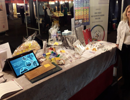 Nine Star Ki lezing en de beurs in Rijswijk